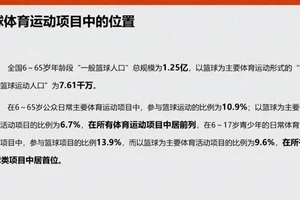  为什么统计对篮球团队发展至关重要